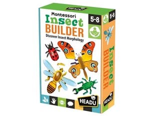Montessori vabzdžiai Headu 27040 цена и информация | Развивающие игрушки | pigu.lt