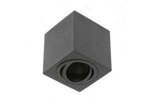 Потолочный светильник Aveiro Bis, IP20, круглый, белый цена и информация | Потолочные светильники | pigu.lt