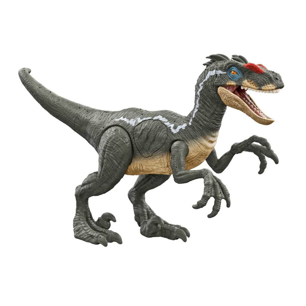 Figūrėlė Mattel Jurassic World Velociraptor su garsu HNC11, žalias kaina ir informacija | Žaislai berniukams | pigu.lt