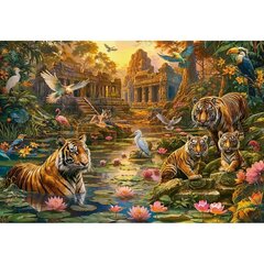 Dėlionė Castorland Tigers Paradise, 1000 d. kaina ir informacija | Dėlionės (puzzle) | pigu.lt