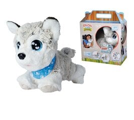 Pliušinis žaislas šuo Simba Chi Chi Love 589-0050, 30 cm kaina ir informacija | Minkšti (pliušiniai) žaislai | pigu.lt