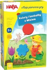 Edukacinis žaidimas Spalvos ir formos Haba kaina ir informacija | Lavinamieji žaislai | pigu.lt