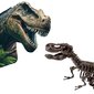 Vaikiškas archeologijos rinkinys SES Creative Trex цена и информация | Žaislai berniukams | pigu.lt