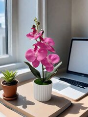 Dirbtinė orchidėja Electronics LV-8 kaina ir informacija | Dirbtinės gėlės | pigu.lt