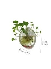 Прозрачный подвесной горшок для растений Electronics LV-10, 15.5 см цена и информация | Вазы | pigu.lt