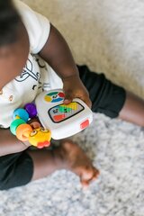 Muzikinis žaislas Baby Einstein Take Along Tunes цена и информация | Игрушки для малышей | pigu.lt