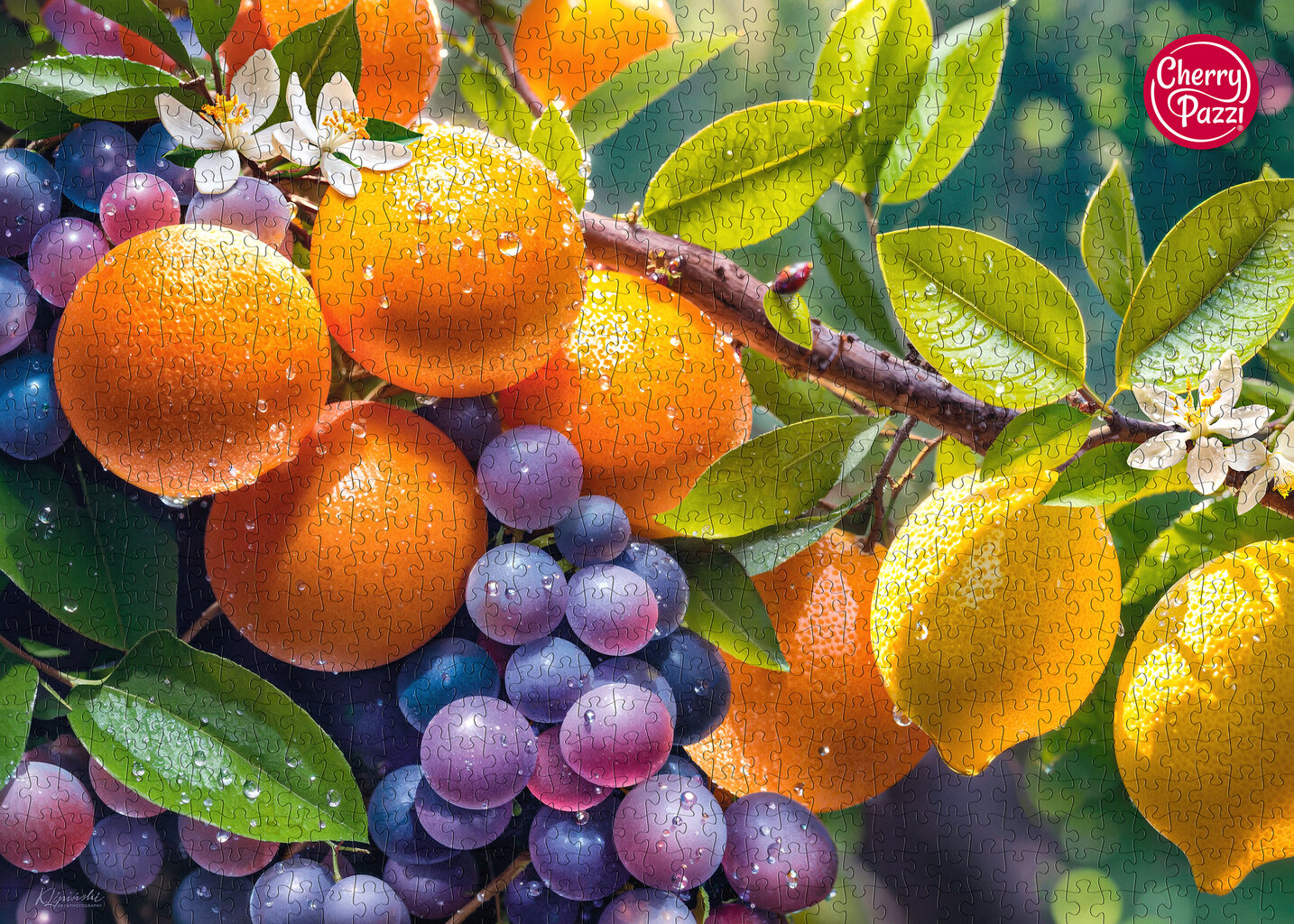 Dėlionė CherryPazzi Sunny Fruits, 1000 d. kaina ir informacija | Dėlionės (puzzle) | pigu.lt