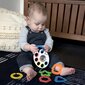 Barškutis Baby Einstein su kramtuku Rattle&Soothe™ 0m+ kaina ir informacija | Žaislai kūdikiams | pigu.lt