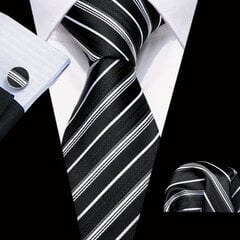 Vyriškas kaklaraištis su sąsagomis ir nosinaite kaina ir informacija | Kaklaraiščiai, peteliškės | pigu.lt