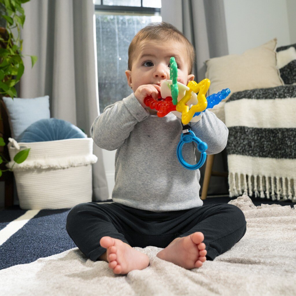 Kūdikio įkandimas Baby Einstein Ocean Explorers Sea of Sensory™ 3m+ kaina ir informacija | Žaislai kūdikiams | pigu.lt