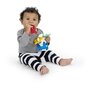 Kūdikio įkandimas Baby Einstein Ocean Explorers Sea of Sensory™ 3m+ kaina ir informacija | Žaislai kūdikiams | pigu.lt