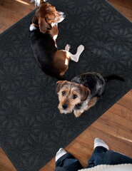 E-floor kilimėlis Exclusive 80x120cm kaina ir informacija | Durų kilimėliai | pigu.lt