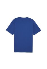 Puma Футболки Power Colorblock Tee Blue White 678929 14 678929 14/M цена и информация | Мужские футболки | pigu.lt