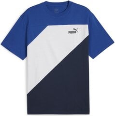 Marškinėliai vyrams Puma 678929 14, įvairių spalvų kaina ir informacija | Vyriški marškinėliai | pigu.lt