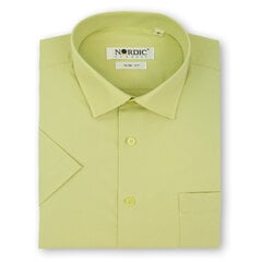 Рубашка для мужчин Nordic, зелёная цена и информация | Мужские рубашки | pigu.lt