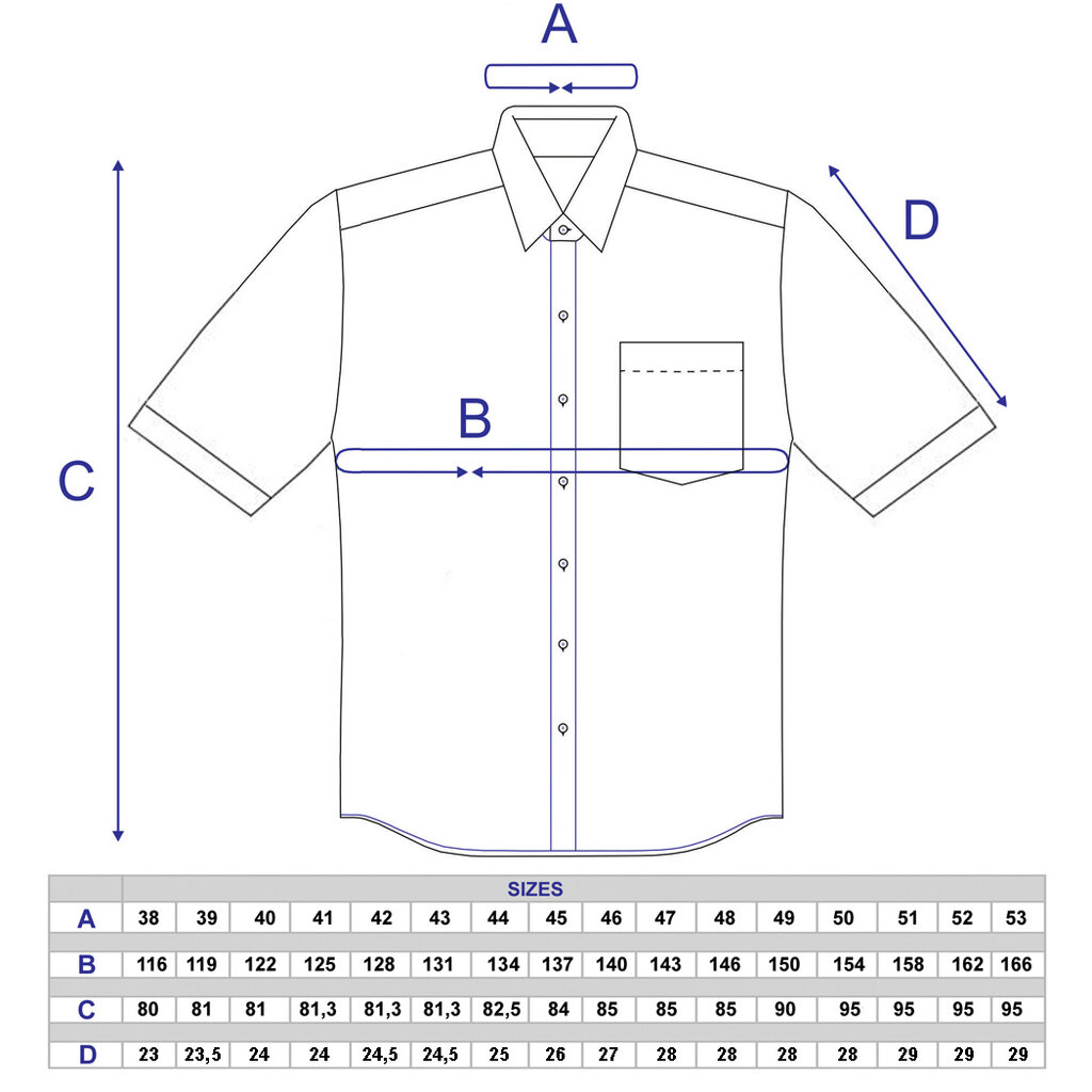 Marškiniai vyrams Nordic, mėlyni kaina ir informacija | Vyriški marškiniai | pigu.lt