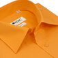 Marškiniai vyrams Nordic, oranžiniai kaina ir informacija | Vyriški marškiniai | pigu.lt