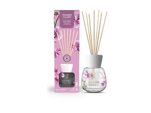 Namų kvapas su lazdelėmis Yankee Candle The Signature Wild Orchid Reed, 100 ml kaina ir informacija | Namų kvapai | pigu.lt