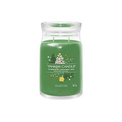 Yankee Candle Aromatinė žvakė Signatūrinė stiklinė didelė "Shimmering Christmas Tree" 567 g kaina ir informacija | Žvakės, Žvakidės | pigu.lt