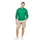 Tommy Hilfiger džemperis vyrams 88053, žalias kaina ir informacija | Džemperiai vyrams | pigu.lt