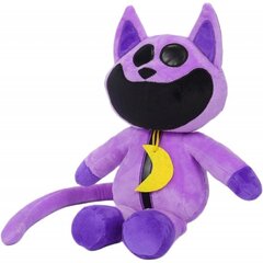 Minkštas žaislas Smiling Critters CatNap, 20cm цена и информация | Мягкие игрушки | pigu.lt