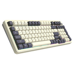 Darkflash DF98 Mocha Mechanical Keyboard (Yellow Keys) kaina ir informacija | Klaviatūros | pigu.lt