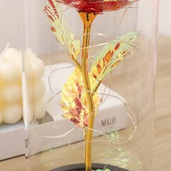 Šviečianti rožė LED stiklo kupole kaina ir informacija | Dirbtinės gėlės | pigu.lt
