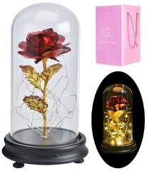 Šviečianti rožė LED stiklo kupole цена и информация | Искусственные цветы | pigu.lt