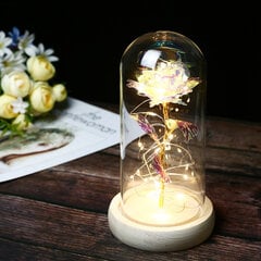 Šviečianti rožė LED stiklo kupole kaina ir informacija | Dirbtinės gėlės | pigu.lt