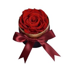 Rožė Eternal True kaina ir informacija | Dirbtinės gėlės | pigu.lt