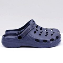 Женская спортивная обувь «Crocs» цена и информация | Женские тапочки | pigu.lt