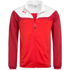 Striukė vyrams Puma 653973-01, raudona kaina ir informacija | Vyriškos striukės | pigu.lt