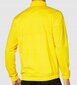 Džemperis vyrams Puma, geltonas kaina ir informacija | Džemperiai vyrams | pigu.lt