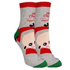 Kalėdinės kojinės moterims, įvairių spalų, 5 poros kaina ir informacija | Moteriškos kojinės | pigu.lt