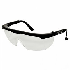 Apsauginiai akiniai B507 kaina ir informacija | Galvos apsauga | pigu.lt
