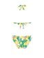 Bikini maudymosi kostiumėlis GREEN LAND K0184-HB8B_XL|Y9059-HB8B_XXL kaina ir informacija | Maudymosi kostiumėliai | pigu.lt