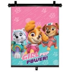 Защита окон автомобиля от солнца Nickelodeon Paw Patrol, 1 шт. цена и информация | Аксессуары для автокресел | pigu.lt