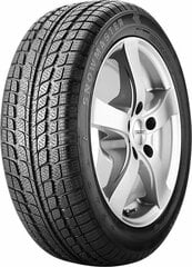 SUNNY SN3830 Snowmaster 205/40R17 84V XL цена и информация | Зимняя резина | pigu.lt