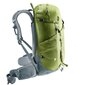 Turistinė kuprinė Deuter Trail Pro 33 Meadow-Graphite kaina ir informacija | Kuprinės ir krepšiai | pigu.lt