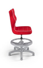 Детский стул Petit Grey Visto 09 размер 4 с подножкой цена и информация | Офисные кресла | pigu.lt