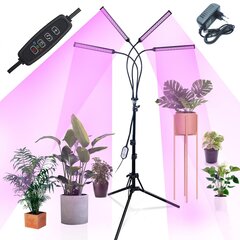 Ouio Tripod AL2 цена и информация | Проращиватели, лампы для растений | pigu.lt