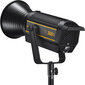Godox VL300II LED kaina ir informacija | Fotografijos apšvietimo įranga | pigu.lt