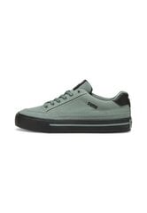 Puma Обувь Court Classic Vulc Green 395020 04 395020 04/8 цена и информация | Кроссовки мужские | pigu.lt