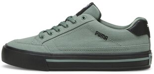 Puma Обувь Court Classic Vulc Green 395020 04 395020 04/8 цена и информация | Кроссовки мужские | pigu.lt