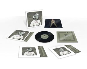 Vinilinė plokštelė David Bowie Toy kaina ir informacija | Vinilinės plokštelės, CD, DVD | pigu.lt