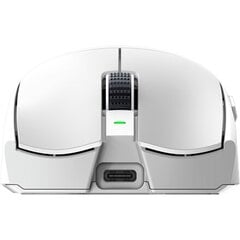 Razer Viper V3 Pro Белый цвет (RZ01-05120200-R3G1) цена и информация | Мыши | pigu.lt