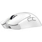 Razer Viper V3 Pro White (RZ01-05120200-R3G1) цена и информация | Pelės | pigu.lt