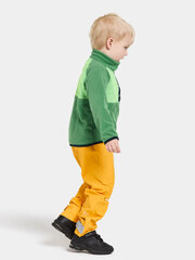 Детский шерстяной свитер Didriksons MONTE HALF BUTTON 3, зелено цена и информация | Свитеры, жилетки, пиджаки для мальчиков | pigu.lt