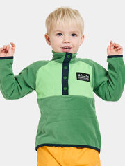 Didriksons vaikiškas megztinis MONTE HALF BUTTON 3, žalias kaina ir informacija | Megztiniai, bluzonai, švarkai berniukams | pigu.lt
