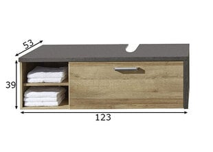 Шкаф под раковину Trendteam Bay, коричневый / серый цена и информация | Шкафчики для ванной | pigu.lt